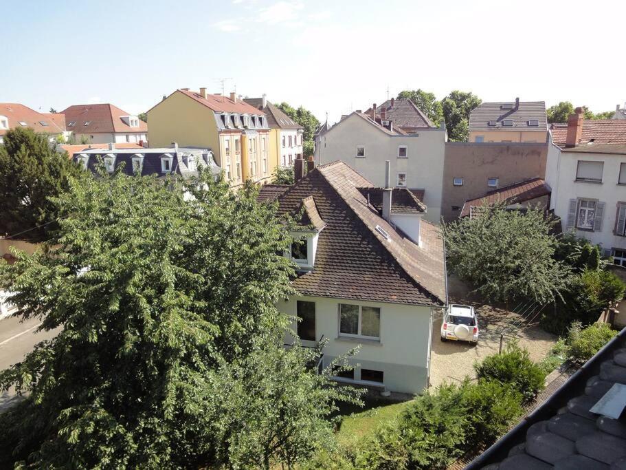 דירות Le Nid Des Cigognes A Colmar Centre, Proche Gare, Marches De Noel מראה חיצוני תמונה